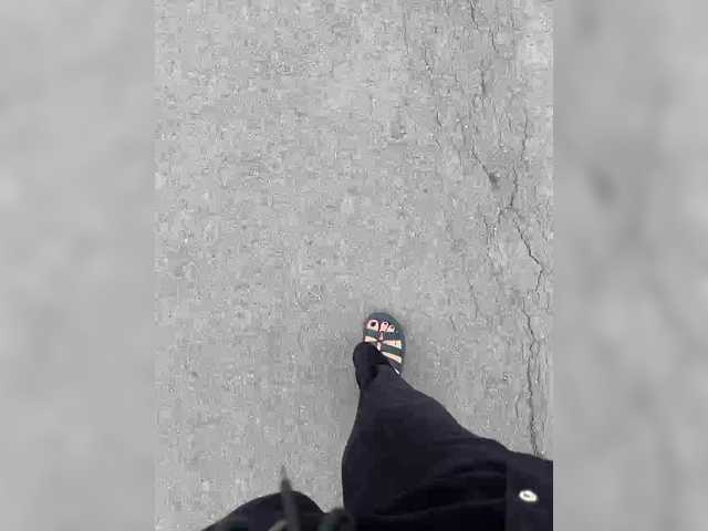 Capturas de pantalla de transmisión Lery_