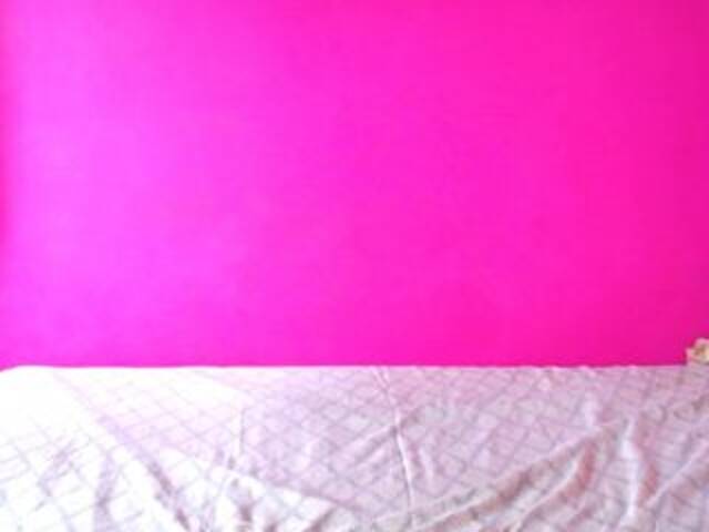 Capturas de pantalla de transmisión ALEJAEBONY