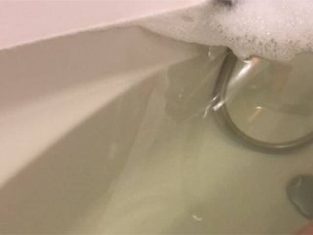 Capturas de pantalla de transmisión Alianakiss