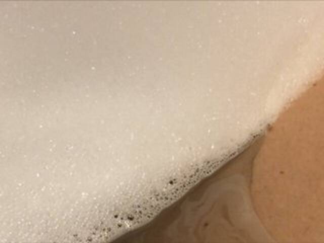 Capturas de pantalla de transmisión Alianakiss