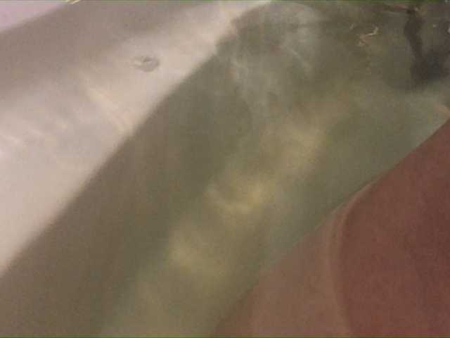 Capturas de pantalla de transmisión Alianakiss