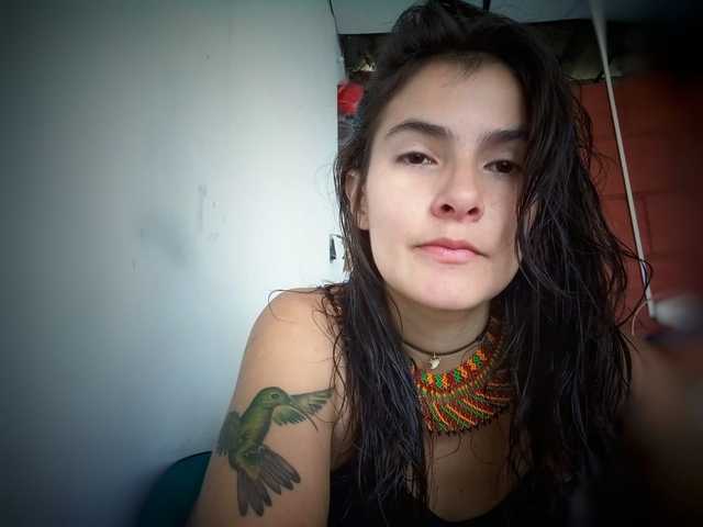 Foto del perfil AmelieColins