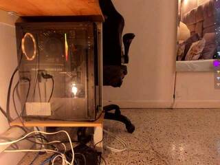 Chat de video erótico amina-west