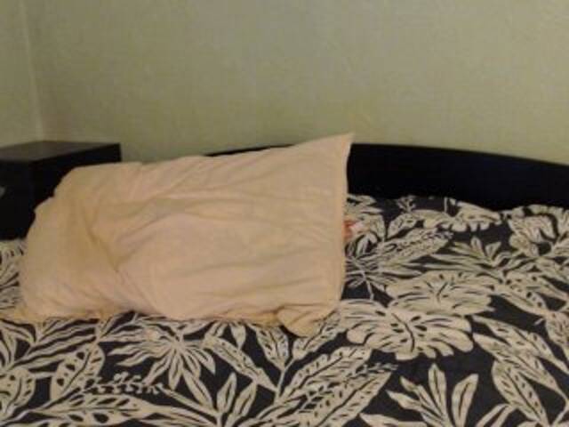 Capturas de pantalla de transmisión Alissia_Kiss