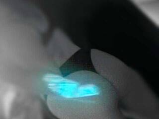 Chat de video erótico Angelusik