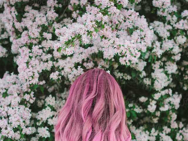 Foto del perfil Animekitsune