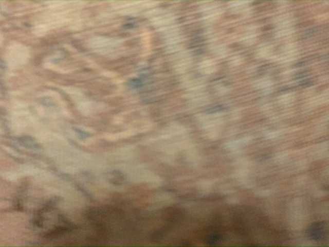 Capturas de pantalla de transmisión ArinaLina