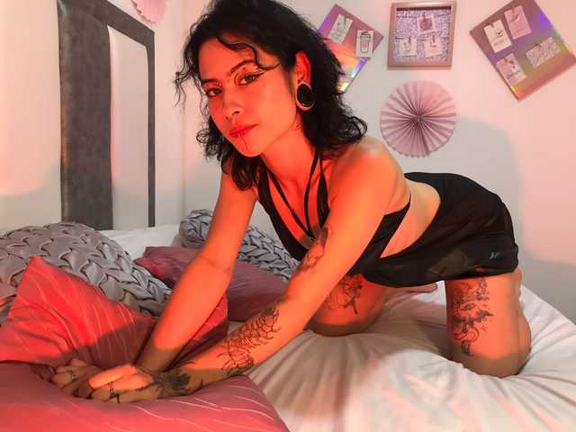 Foto del perfil Aryrouse