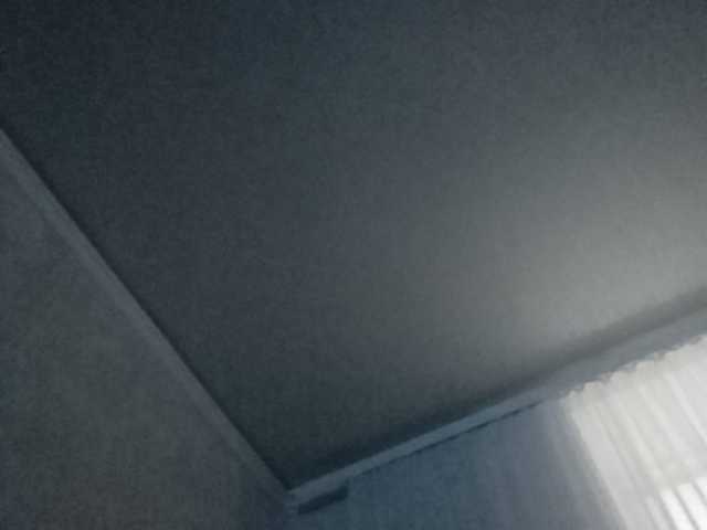 Capturas de pantalla de transmisión b1ToorBoPussy