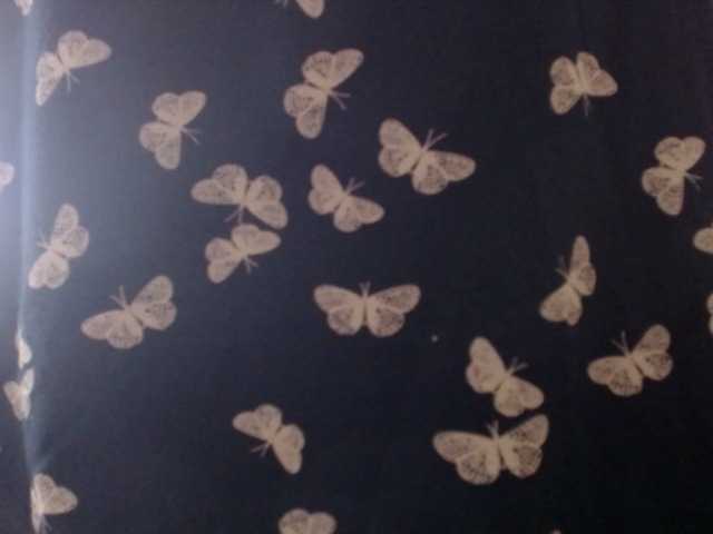 Capturas de pantalla de transmisión BBWStefany