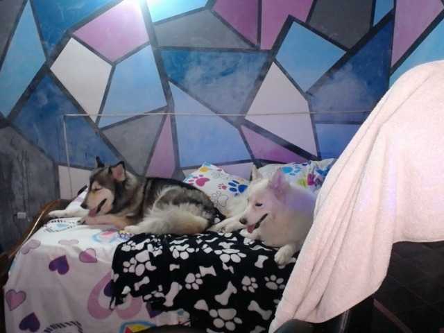 Capturas de pantalla de transmisión beautifulchubbyqueen