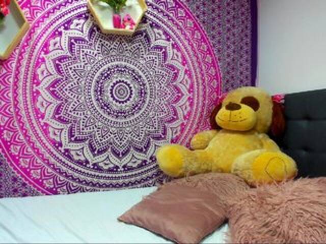 Capturas de pantalla de transmisión GingerRabbit-