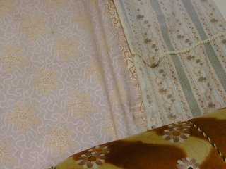 Chat de video erótico Lunaeva