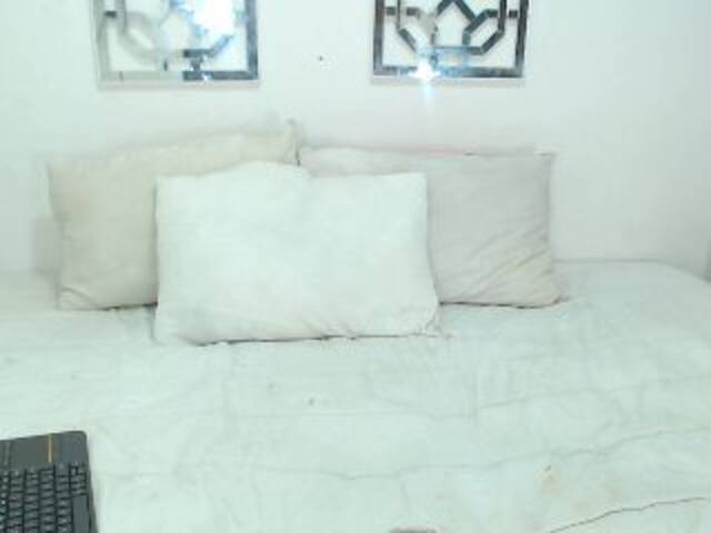 Capturas de pantalla de transmisión Samysanders