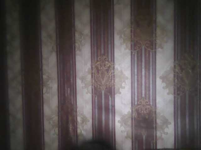 Capturas de pantalla de transmisión -jasmine-