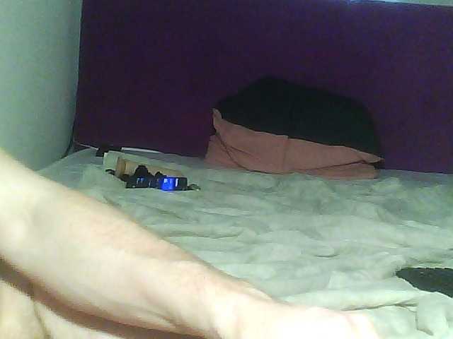 Capturas de pantalla de transmisión cat-and-cat