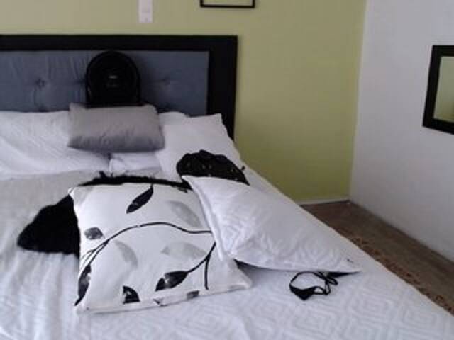 Capturas de pantalla de transmisión CELESTESPICE