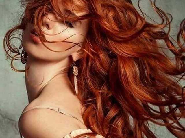 Foto del perfil Chanterelle