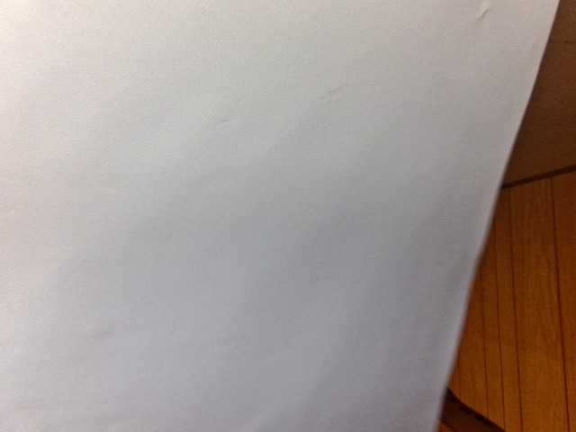 Capturas de pantalla de transmisión cloverbbombaee