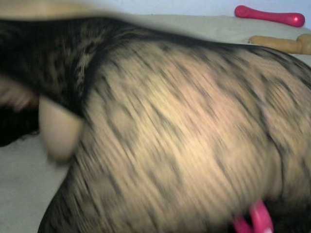 Capturas de pantalla de transmisión COLORFULPUSSY