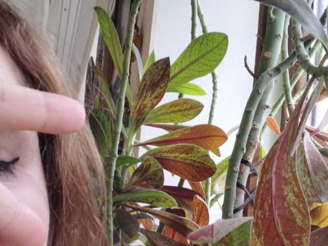 Foto del perfil Crazycouple8