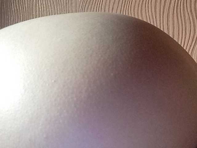 Capturas de pantalla de transmisión Darinaray777