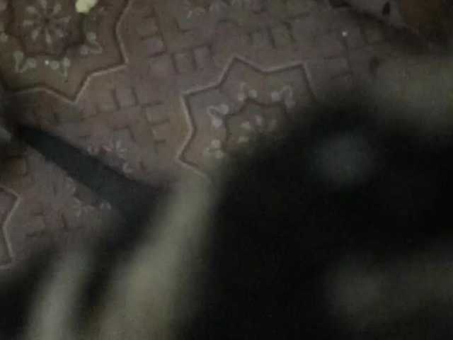 Capturas de pantalla de transmisión dashadashaa