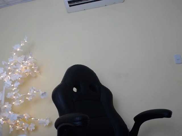 Capturas de pantalla de transmisión DEVANY-REY