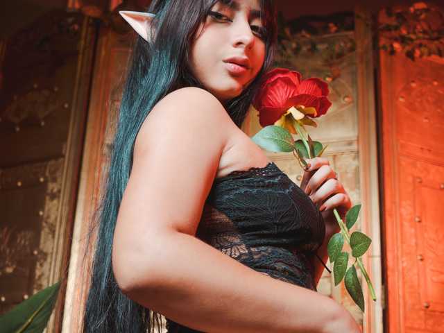 Foto del perfil DianeCalder