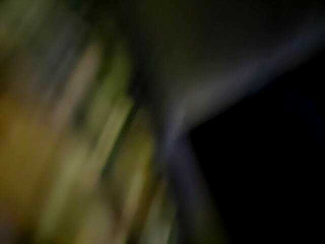 Capturas de pantalla de transmisión DiiRolla