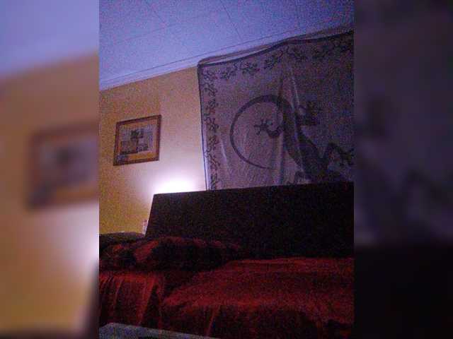 Capturas de pantalla de transmisión Doggysx