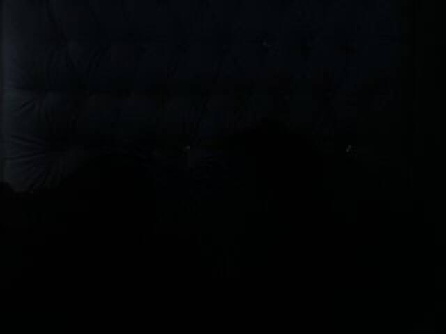 Capturas de pantalla de transmisión DolcePinkPuss