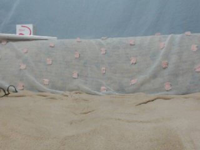 Capturas de pantalla de transmisión DonnaWildJoyy