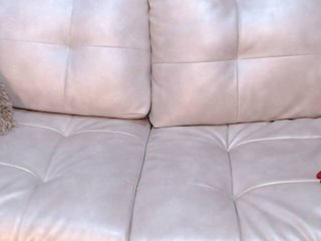 Capturas de pantalla de transmisión ElaBecker