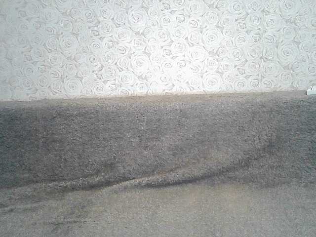 Capturas de pantalla de transmisión ElegantBlonda