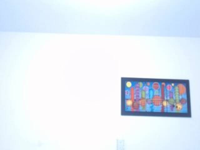 Capturas de pantalla de transmisión Emanigth