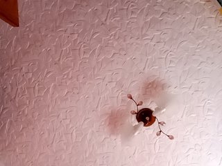 Chat de video erótico emrinsii