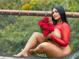 Chat de video erótico Ericajohnson12