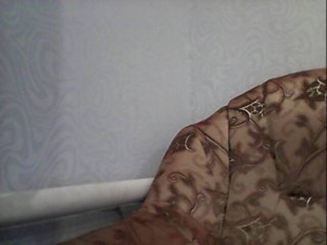 Capturas de pantalla de transmisión AngelLadyEva