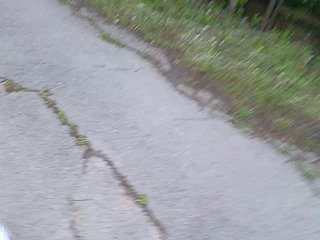 Chat de video erótico Evvgenia12345
