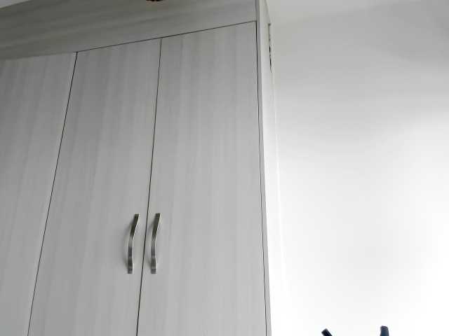 Capturas de pantalla de transmisión fitnessebony