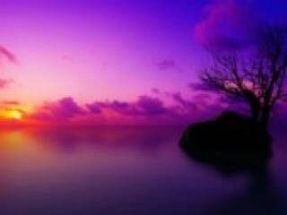 Chat de video erótico florabella