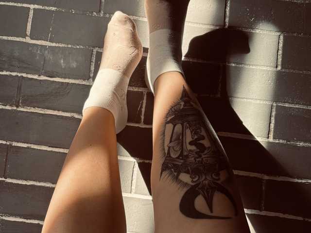 Foto del perfil Fox-Paws