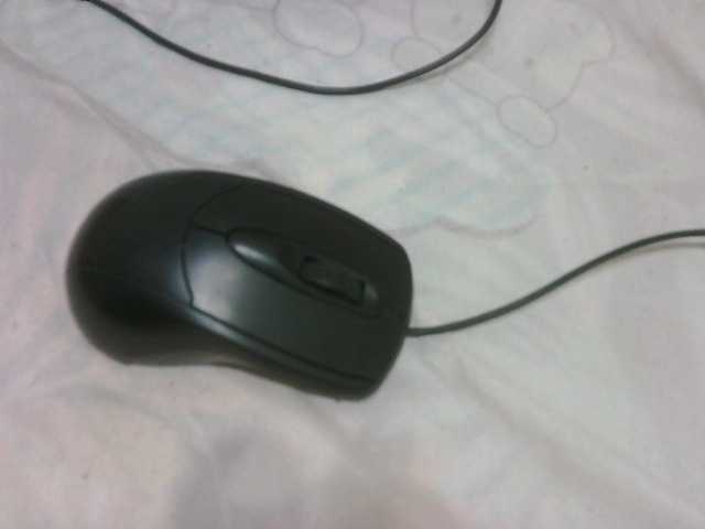 Capturas de pantalla de transmisión FuckMyAnus