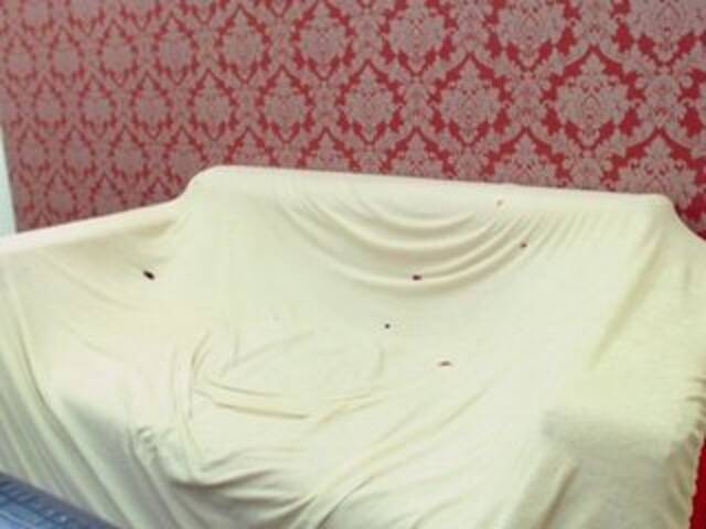 Capturas de pantalla de transmisión GeileLana