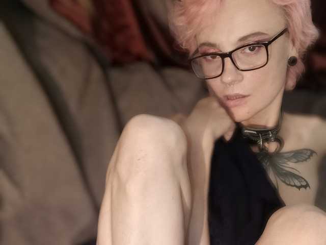 Foto del perfil GingerWind