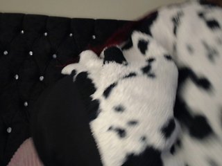 Chat de video erótico Hornyrata