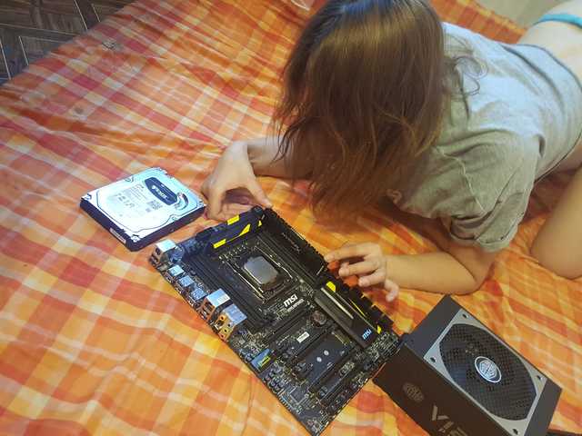 Foto del perfil -EVE-