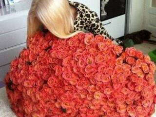 Chat de video erótico Inrika18