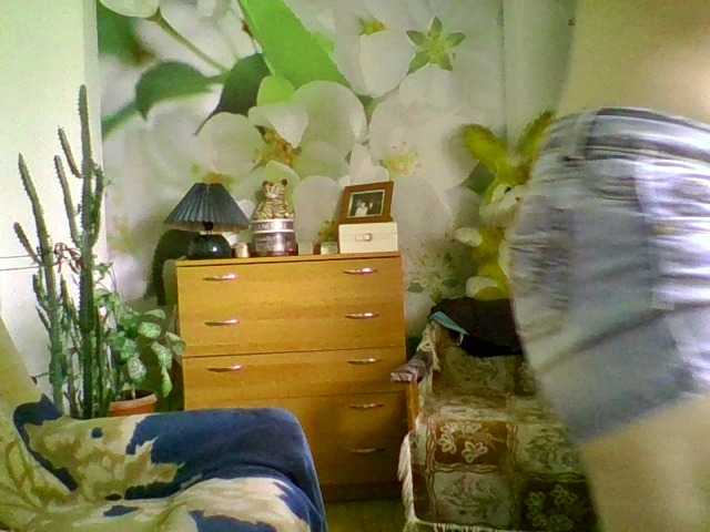 Capturas de pantalla de transmisión jannina